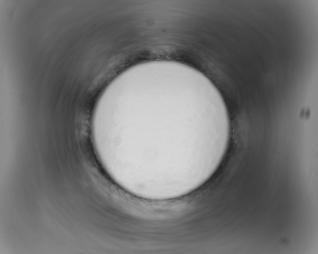 X0000114030038200910231908