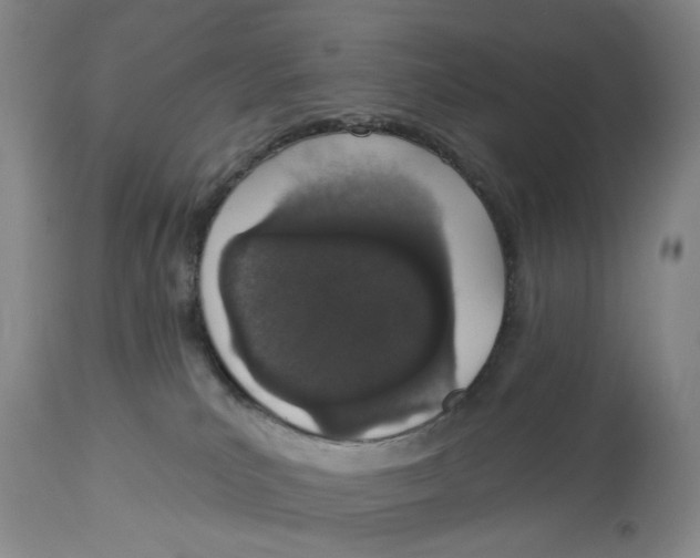 X0000114030039200910231908