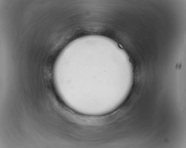 X0000114030040200910231908