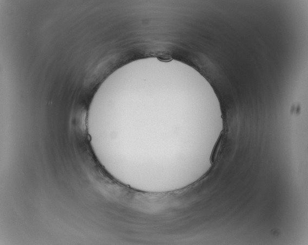 X0000114030041200910231908