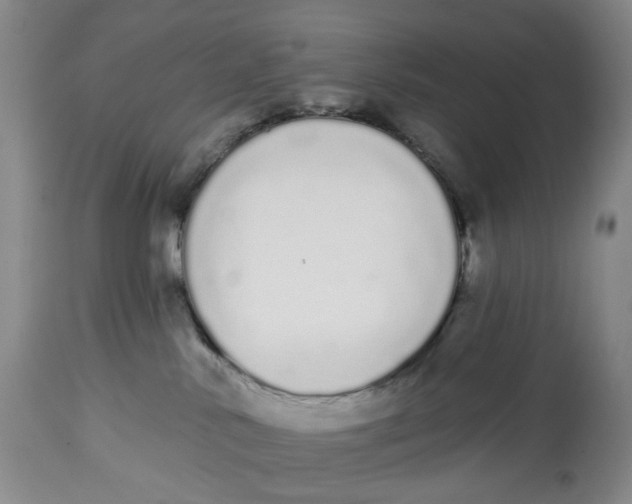 X0000114030042200910231908