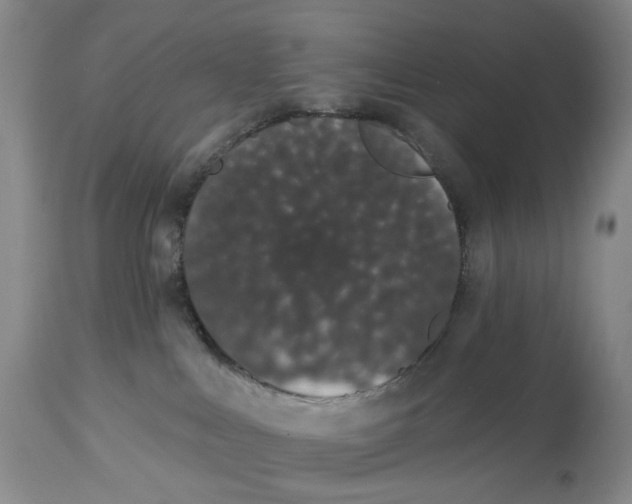 X0000114030043200910231908