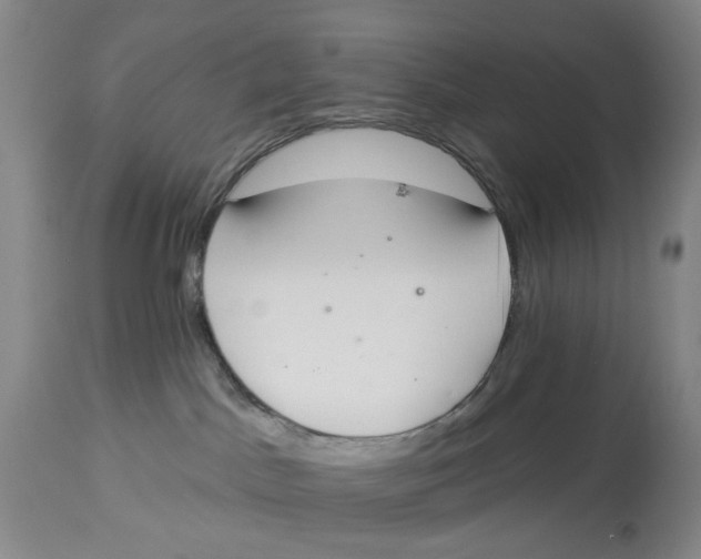 X0000114030045200910231908