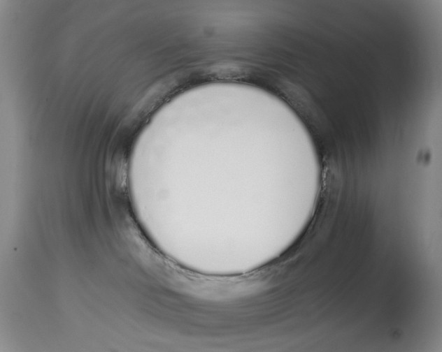 X0000114030046200910231908