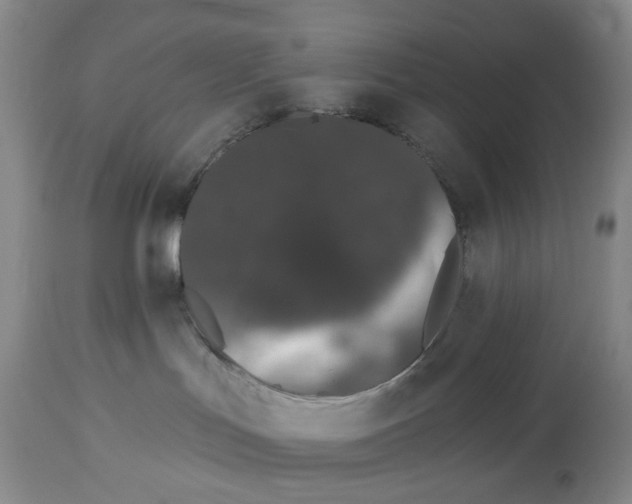 X0000114030047200910231908