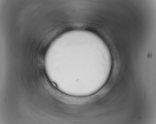 X0000114030048200910231908