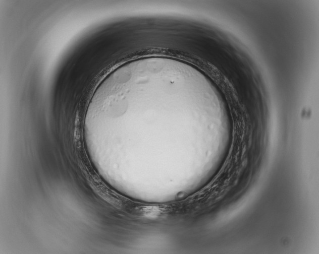 X0000114030050200910231908