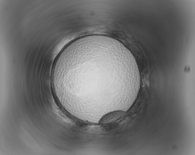 X0000114030052200910231908