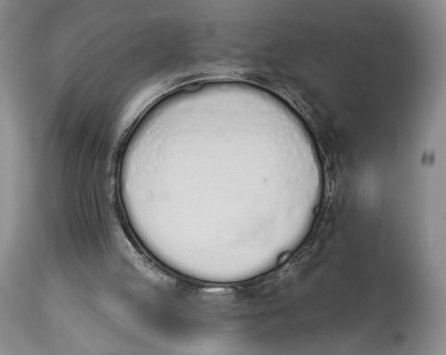 X0000114030053200910231908