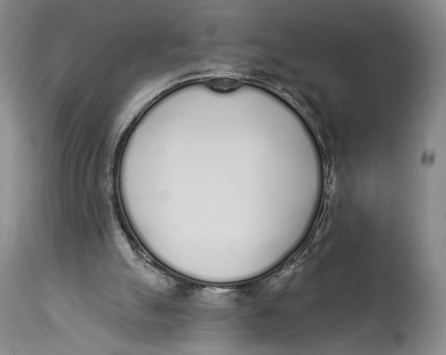 X0000114030055200910231908