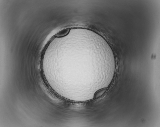 X0000114030056200910231908