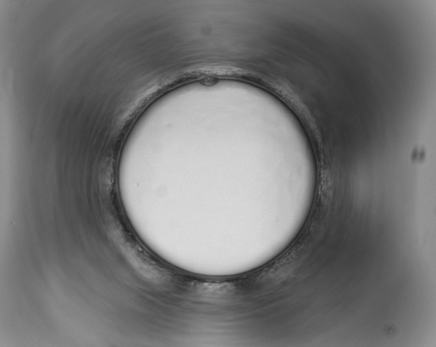 X0000114030063200910231908