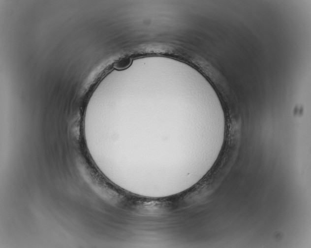 X0000114030064200910231908