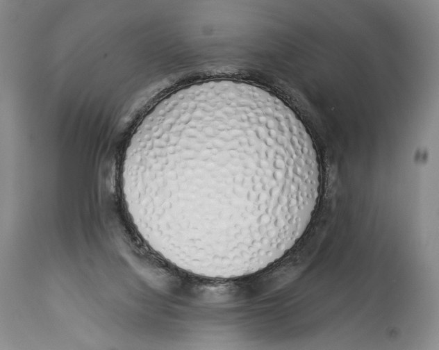 X0000114030068200910231908