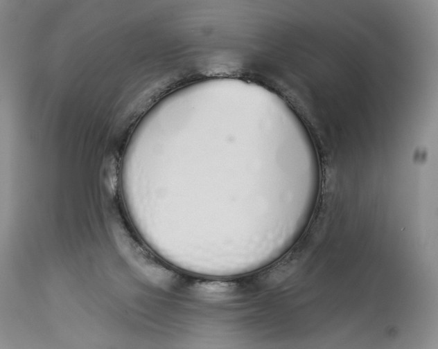 X0000114030069200910231908