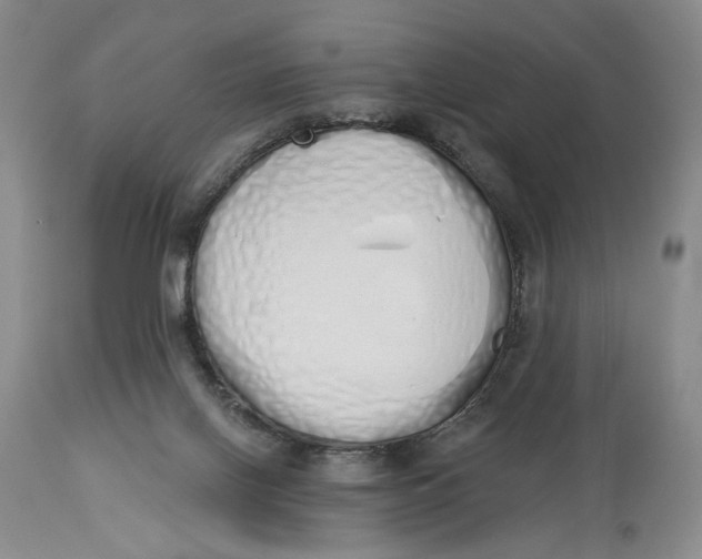 X0000114030070200910231908