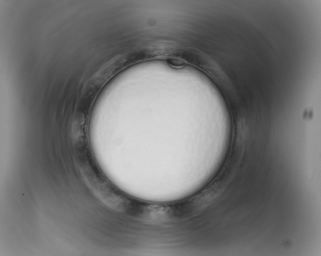 X0000114030073200910231908