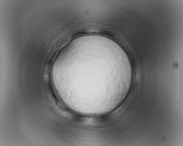 X0000114030074200910231908