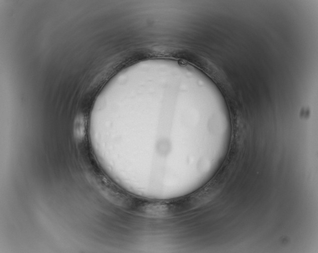 X0000114030075200910231908