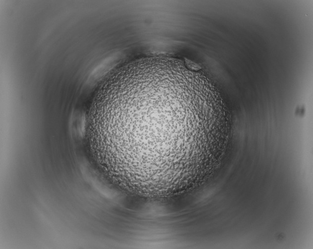 X0000114030076200910231908