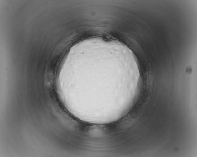 X0000114030077200910231908