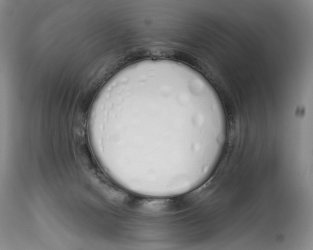 X0000114030078200910231908