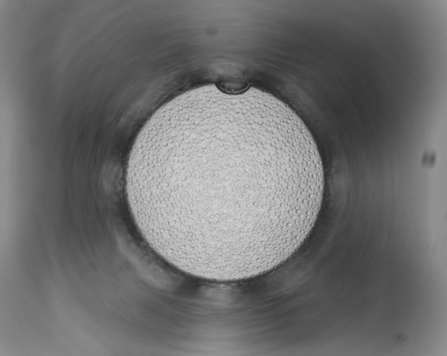 X0000114030079200910231908