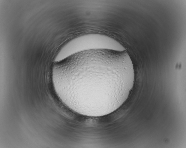 X0000114030080200910231908