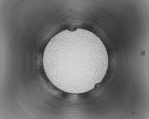 X0000114030083200910231908