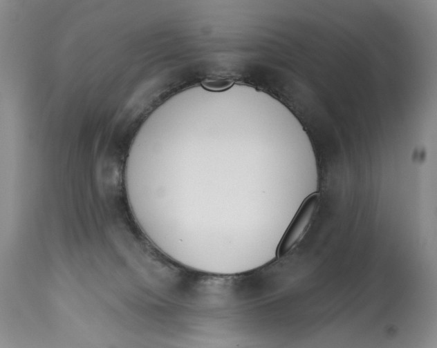 X0000114030084200910231908