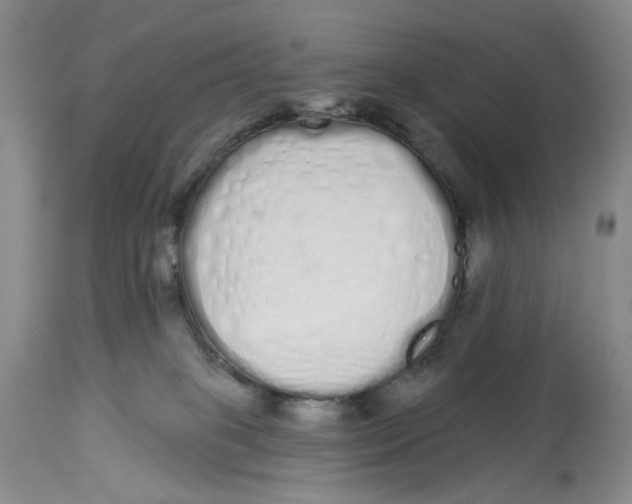 X0000114030085200910231908