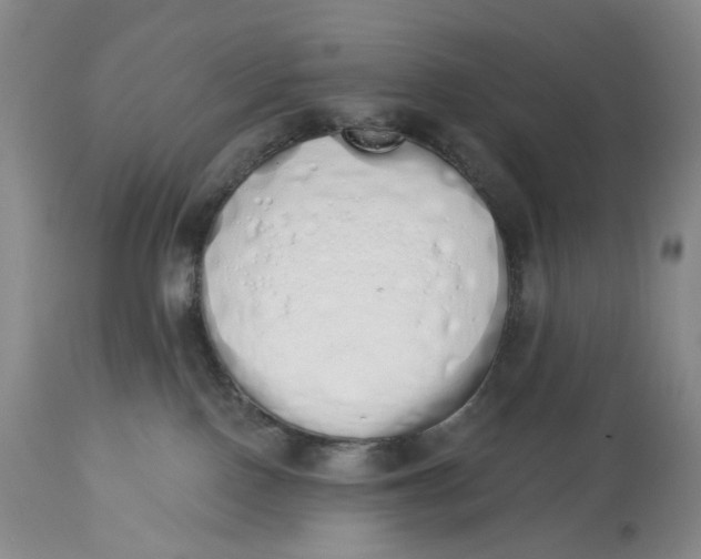 X0000114030090200910231908