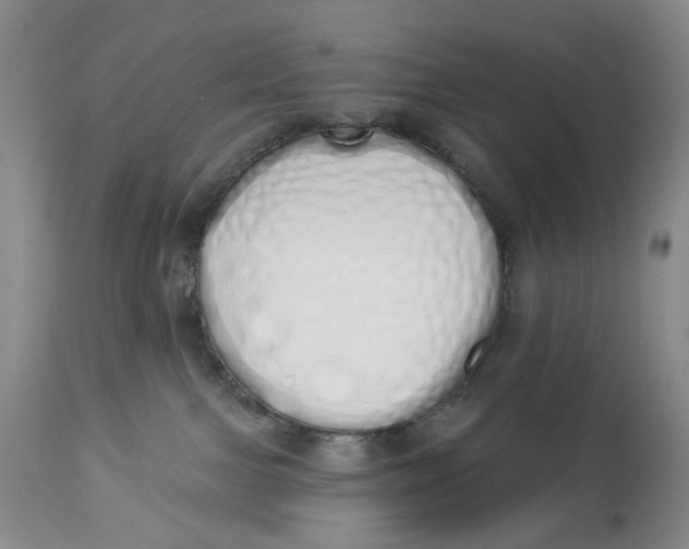 X0000114030091200910231908