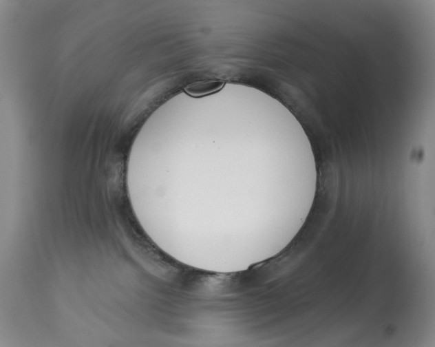 X0000114030092200910231908