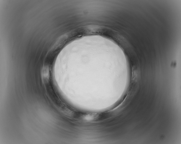 X0000114030094200910231908