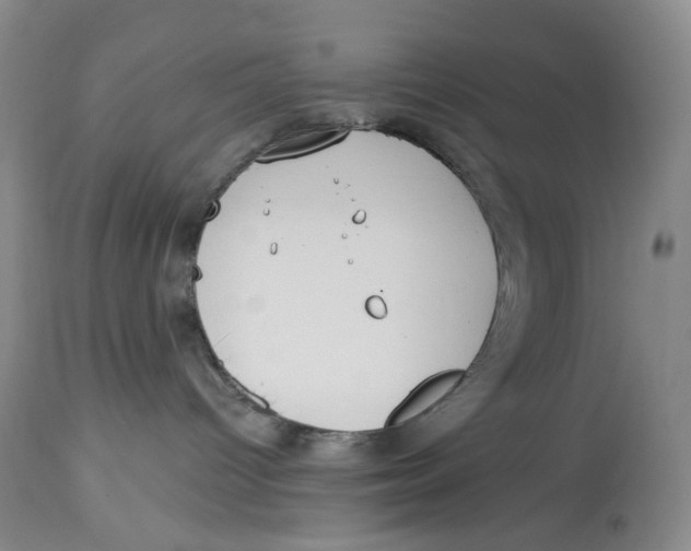 X0000114030096200910231908