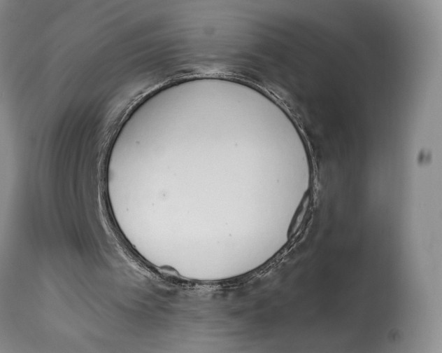 X0000114030097200910231908