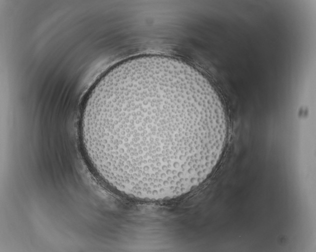 X0000114030098200910231908