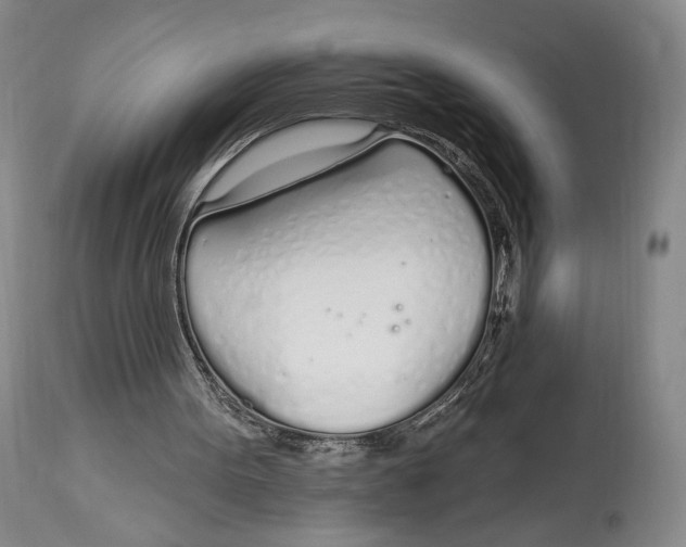 X0000114030099200910231908