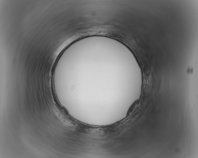 X0000114030100200910231908