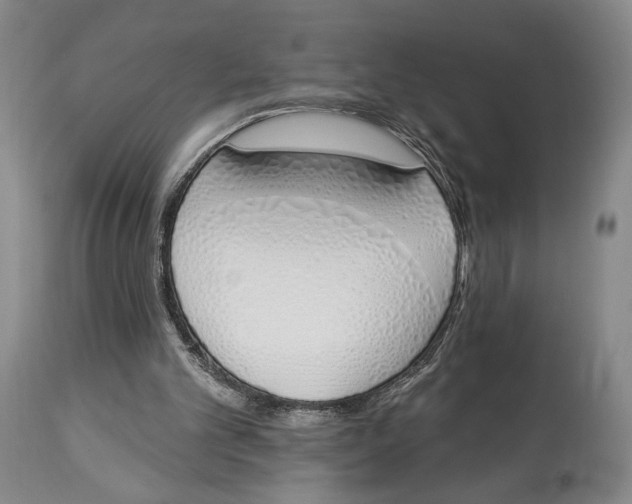 X0000114030101200910231908