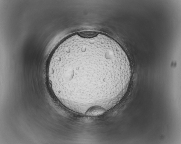 X0000114030103200910231908