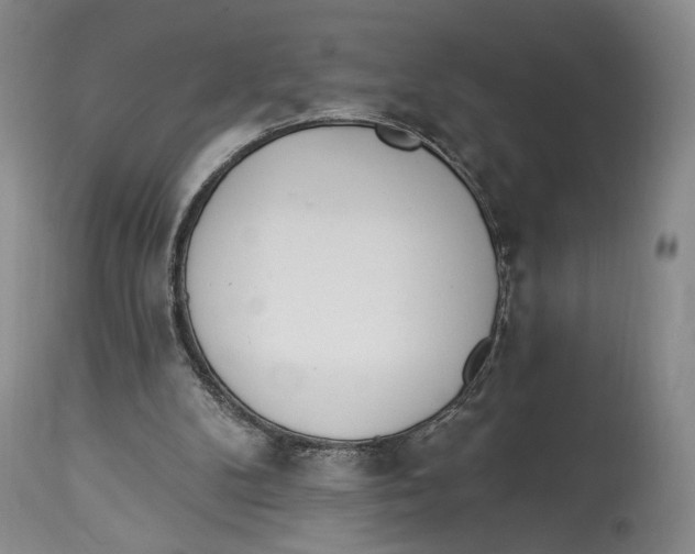 X0000114030104200910231908