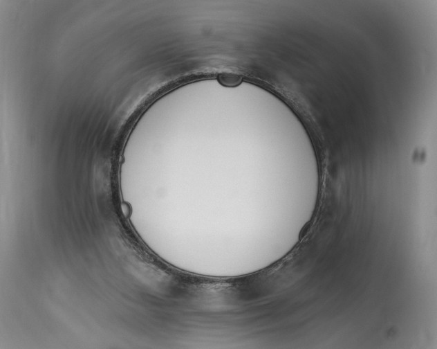 X0000114030108200910231907