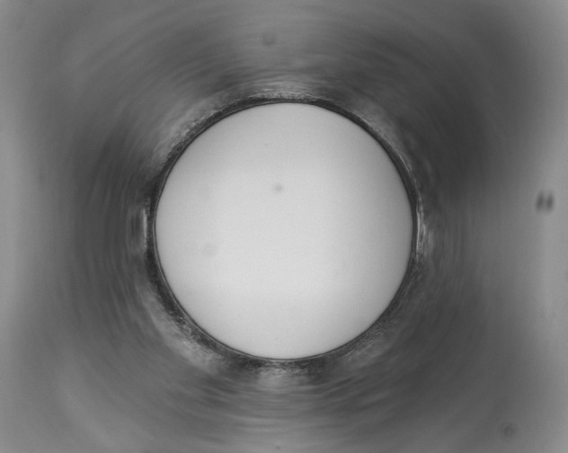 X0000114030109200910231907