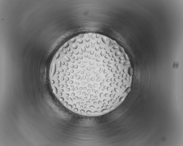 X0000114030110200910231907