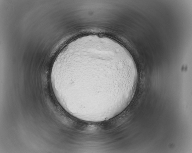 X0000114030111200910231907