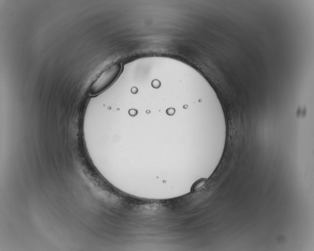 X0000114030112200910231907