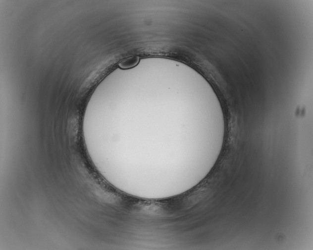 X0000114030113200910231907