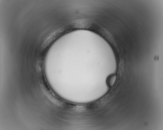 X0000114030114200910231907